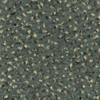 Sauterelle-246