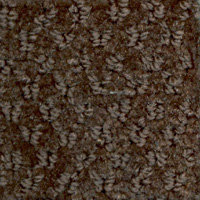 Wenge-785