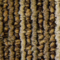 Lines_2942