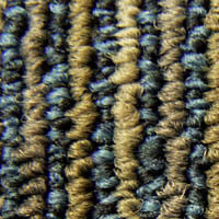 Lines_8801
